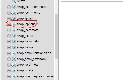 16 options
