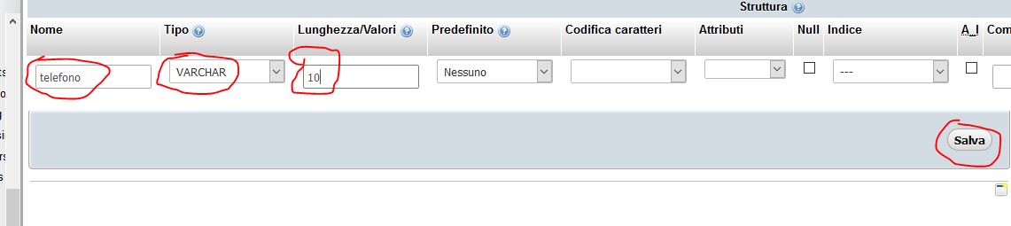 Selezione nome colonna, numero caratteri consentiti